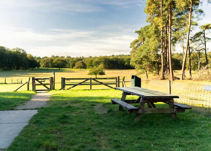 Restaurant De Loenermark 3*