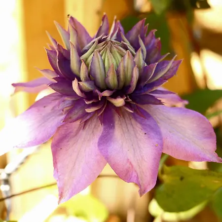 Restaurant De Loenermark 3* Loenen