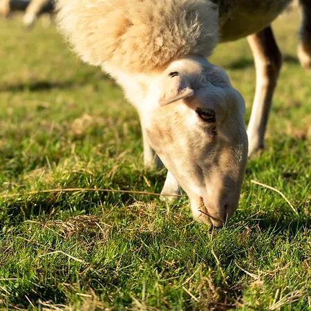 Restaurant De Loenermark 3*