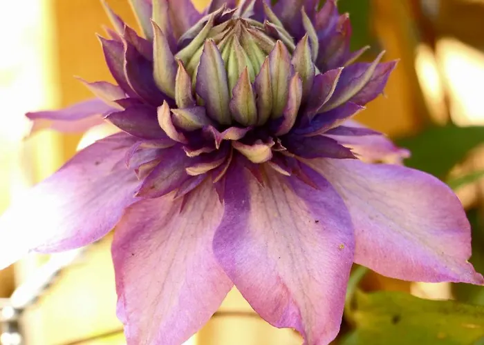 Restaurant De Loenermark 3* Loenen