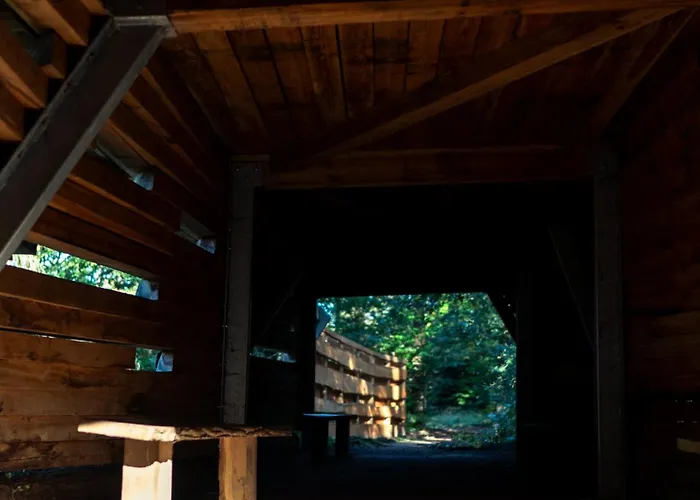 Restaurant De Loenermark Hotel 3*