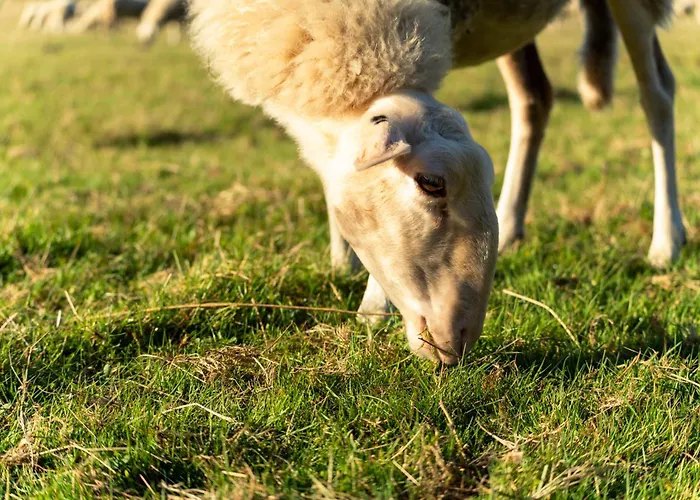 Restaurant De Loenermark 3*