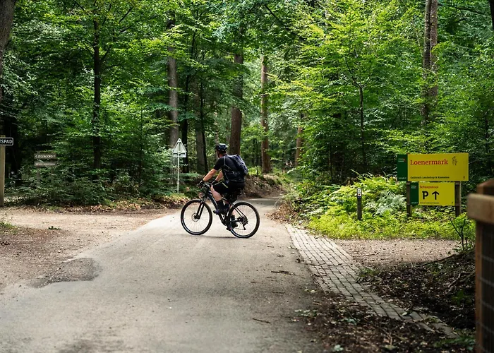 Hotel Restaurant De Loenermark 3*